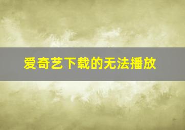 爱奇艺下载的无法播放