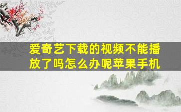 爱奇艺下载的视频不能播放了吗怎么办呢苹果手机