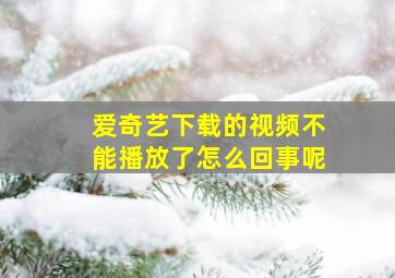 爱奇艺下载的视频不能播放了怎么回事呢