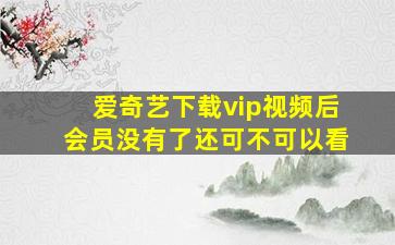 爱奇艺下载vip视频后会员没有了还可不可以看