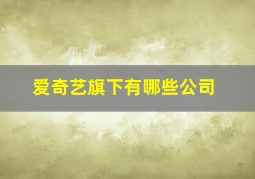 爱奇艺旗下有哪些公司