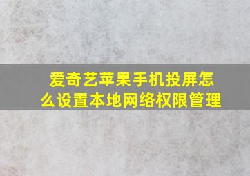 爱奇艺苹果手机投屏怎么设置本地网络权限管理