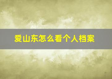 爱山东怎么看个人档案