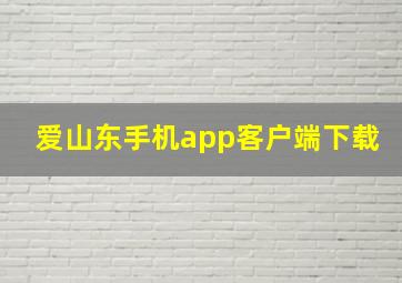 爱山东手机app客户端下载