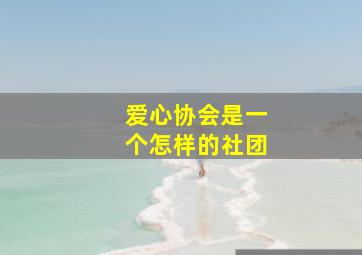 爱心协会是一个怎样的社团