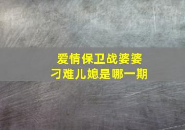 爱情保卫战婆婆刁难儿媳是哪一期