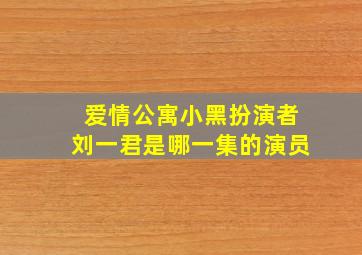 爱情公寓小黑扮演者刘一君是哪一集的演员