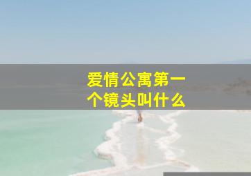 爱情公寓第一个镜头叫什么