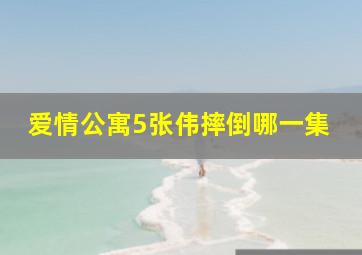 爱情公寓5张伟摔倒哪一集