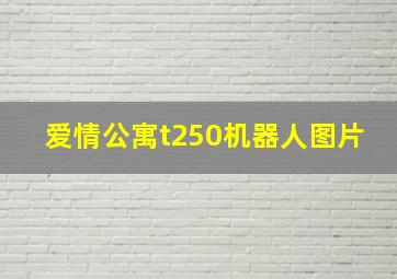 爱情公寓t250机器人图片