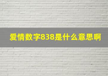 爱情数字838是什么意思啊