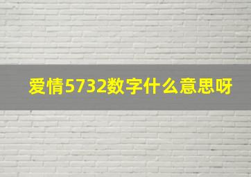 爱情5732数字什么意思呀