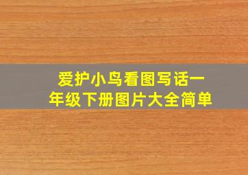 爱护小鸟看图写话一年级下册图片大全简单