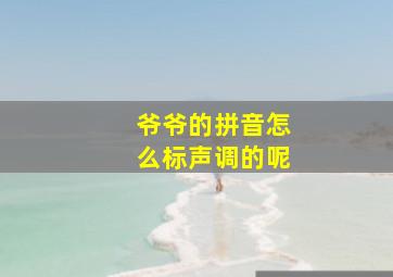 爷爷的拼音怎么标声调的呢