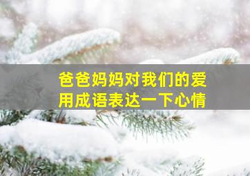 爸爸妈妈对我们的爱用成语表达一下心情