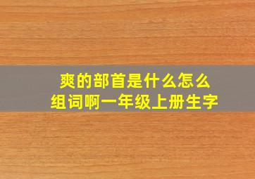 爽的部首是什么怎么组词啊一年级上册生字