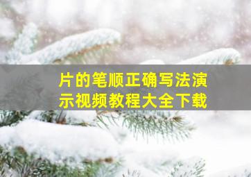 片的笔顺正确写法演示视频教程大全下载