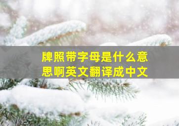 牌照带字母是什么意思啊英文翻译成中文