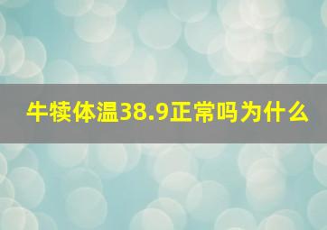 牛犊体温38.9正常吗为什么