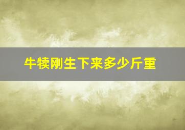 牛犊刚生下来多少斤重