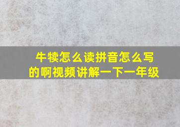 牛犊怎么读拼音怎么写的啊视频讲解一下一年级