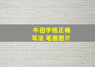 牛田字格正确写法 笔画图片