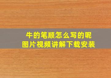 牛的笔顺怎么写的呢图片视频讲解下载安装