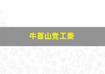 牛首山党工委