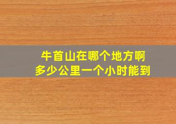 牛首山在哪个地方啊多少公里一个小时能到