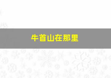 牛首山在那里