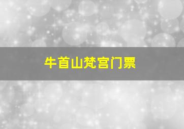 牛首山梵宫门票