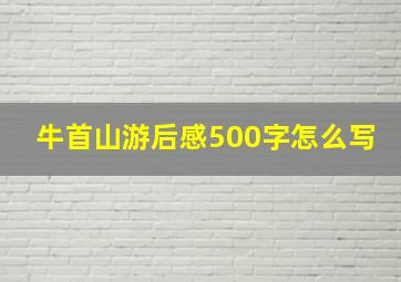 牛首山游后感500字怎么写