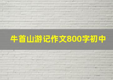 牛首山游记作文800字初中