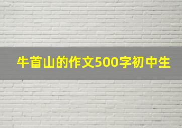 牛首山的作文500字初中生