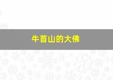 牛首山的大佛