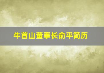 牛首山董事长俞平简历