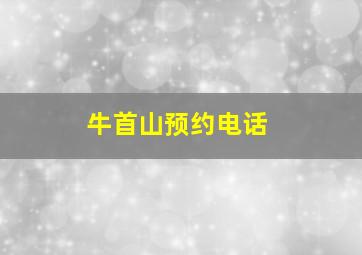 牛首山预约电话