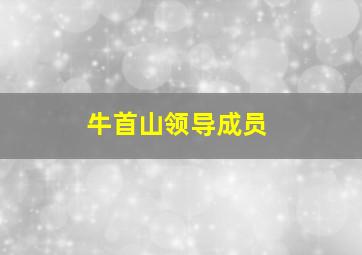 牛首山领导成员