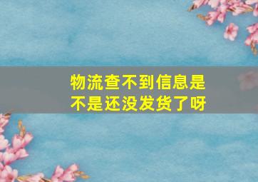 物流查不到信息是不是还没发货了呀