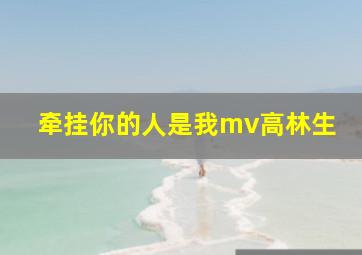 牵挂你的人是我mv高林生