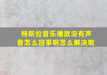 特斯拉音乐播放没有声音怎么回事啊怎么解决呢