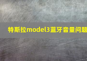 特斯拉model3蓝牙音量问题