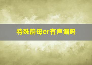 特殊韵母er有声调吗