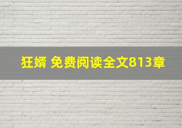 狂婿 免费阅读全文813章