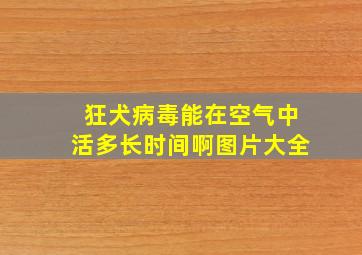 狂犬病毒能在空气中活多长时间啊图片大全