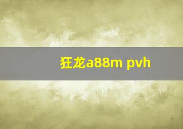 狂龙a88m pvh