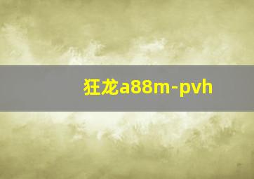 狂龙a88m-pvh