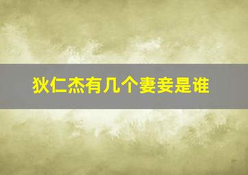 狄仁杰有几个妻妾是谁