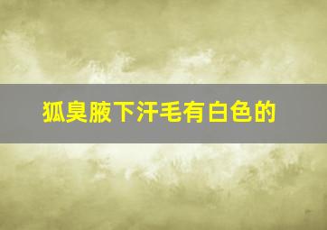 狐臭腋下汗毛有白色的