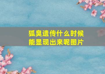 狐臭遗传什么时候能显现出来呢图片